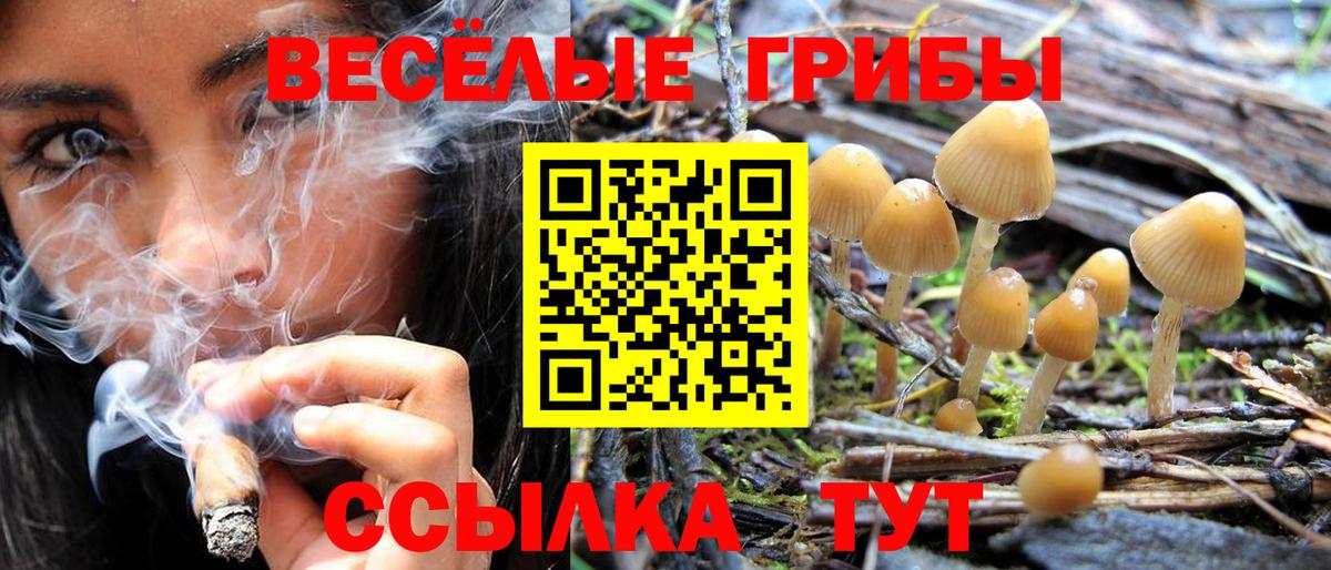 Нарьян-Мар  Псилоцибиновые грибы Cubensis  Вход с VPN  даркнет сайт  Галлюциногенные грибы GOLDEN TEACHER 